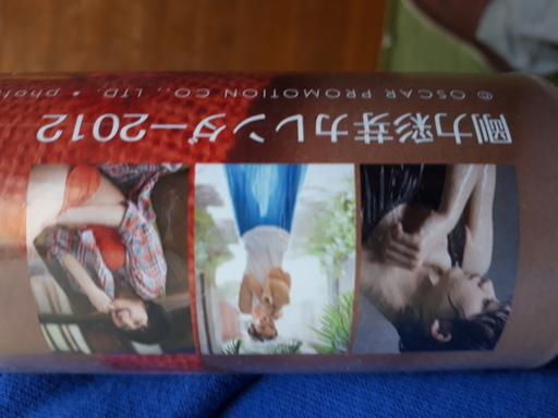 剛力　彩芽 2012 カレンダー CL-67　【未開封】