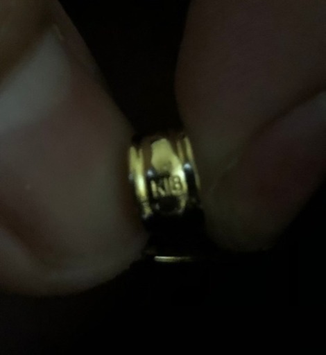 ツバル/ホースコイン金貨K24 K18枠付き