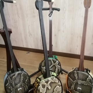 都立大での沖縄三線の練習会
