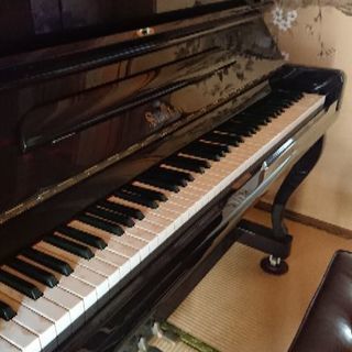 ピアノstein bach