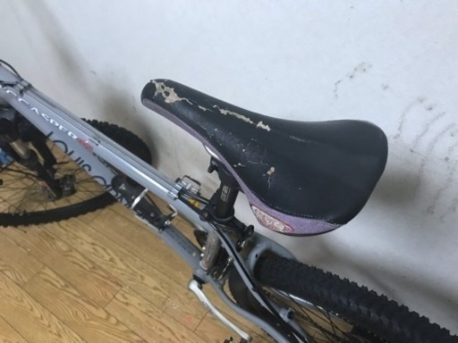 ルイガノMTB3x8変速