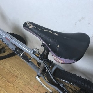 ルイガノMTB3x8変速