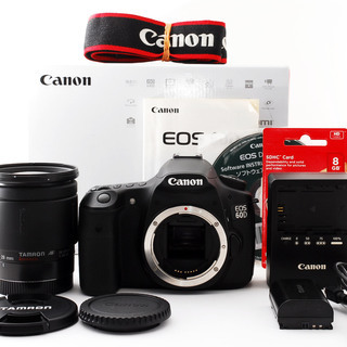 完売 最強入門セット☆新品級 Canon キャノン EOS 40D 純正Wレンズ