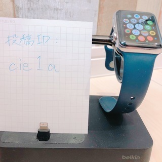 【別売相談ありに変更】【60%OFF】Apple Watch S...