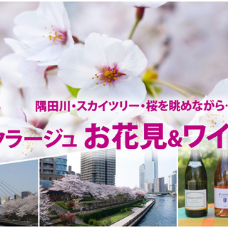 3月31日(日)隅田川・スカイツリー・桜を眺めながら… 「クラー...