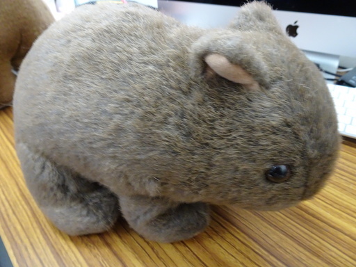 オーストラリア固有のかわいい生き物のぬいぐるみ 中型 Lonelywolf 瀬田のその他の中古あげます 譲ります ジモティーで不用品の処分