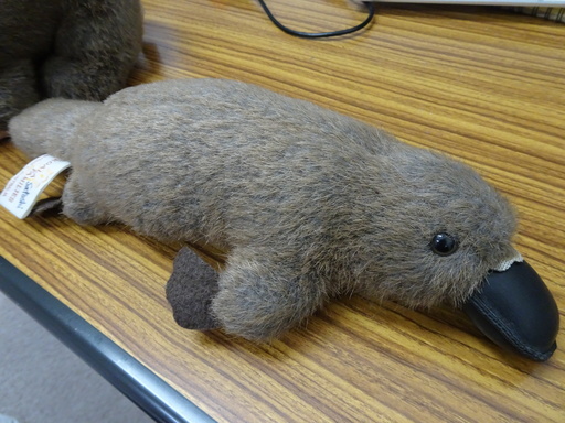 オーストラリア固有のかわいい生き物のぬいぐるみ 中型 Lonelywolf 瀬田のその他の中古あげます 譲ります ジモティーで不用品の処分 オーストラリア固有のかわいい生き物のぬいぐるみ 中型 Lonelywolf 瀬田のその他の中古あげます 譲ります ジモティーで不用品の処分