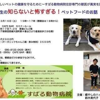 食から考えるペットの健康　獣医師が語るペットフードの危険性 - 大阪市