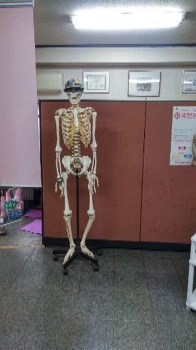 人体製本