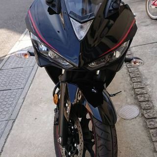 YZF-R25 2018年式 RG43J
