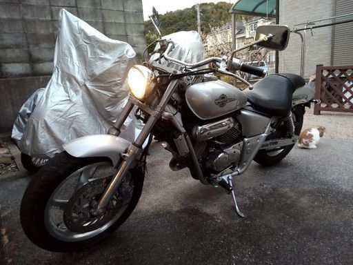 マグナ250