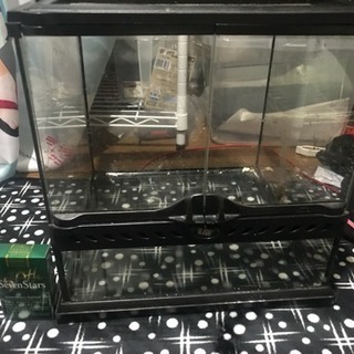 爬虫類ケージ 繁殖セット