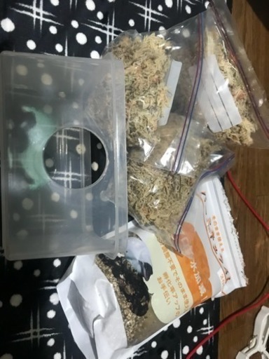 爬虫類ケージ 繁殖セット