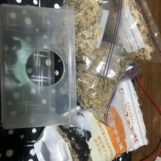 爬虫類ケージ 繁殖セット