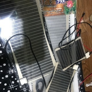 爬虫類ケージ 繁殖セット