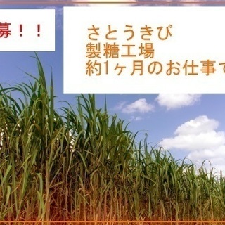 未経験OK！　月約27万円以上