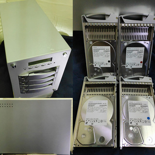 ヤノ電器 N-RAID NR-4000GTS?