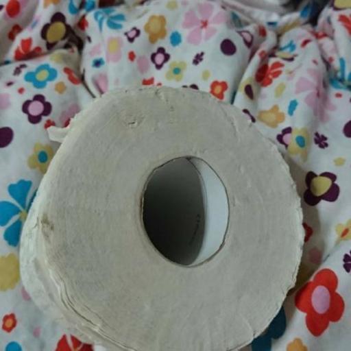 One Pieceトイレットペーパー ヒストリー絵巻 桃山ももぢ 足立のその他の中古あげます 譲ります ジモティーで不用品の処分