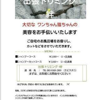 出張トリミング致します。