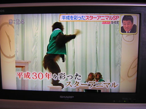 シャープ AQUOS 　ハイビジョン液晶テレビ LC-20AX6　２００６年製