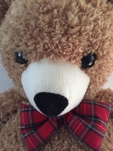 トイザらス クマのぬいぐるみ 差し上げます ロク 志木のその他の中古あげます 譲ります ジモティーで不用品の処分 トイザらス クマのぬいぐるみ 差し上げます ロク 志木のその他の中古あげます 譲ります ジモティーで不用品の処分