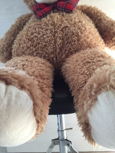 トイザらス クマのぬいぐるみ 差し上げます ロク 志木のその他の中古あげます 譲ります ジモティーで不用品の処分 トイザらス クマのぬいぐるみ 差し上げます ロク 志木のその他の中古あげます 譲ります ジモティーで不用品の処分