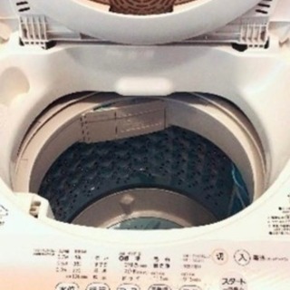 TOSHIBA 洗濯機【美品】