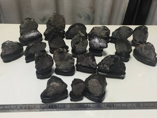 現在発掘 特別天然記念物 岐阜県 根尾谷産 菊花石 天然石 台座付き 現在発掘 特別天然記念物 岐阜県 根尾谷産 菊花石 天然石 台座付き