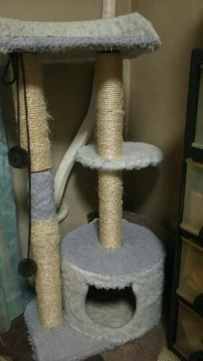 キャットタワー