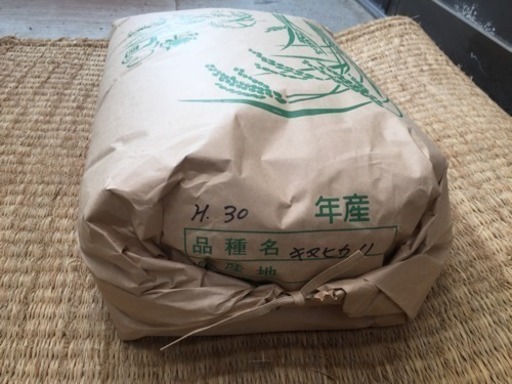 平成30年 きぬひかり30kg（玄米）