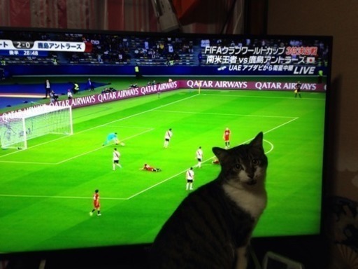 ジャンクソニー4Kテレビ