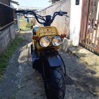 ホンダ ズーマ AF58 /4サイクル gorettibucaramanga.edu.co