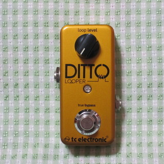 tc electronic DITTO LOOPER ゴールド GOLDエディション】TC Electronic Ditto ルーパー TC Electronic