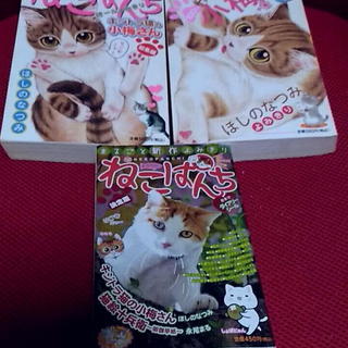 猫本　ねこぱんち　雑誌　3冊セット