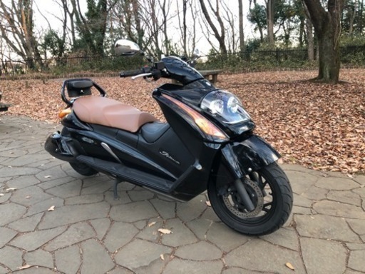 ジェンマ250 42000キロ 自賠責残半年 ジェンマ250 42000キロ 自賠責残半年 モンステラ 斑入り 売約済