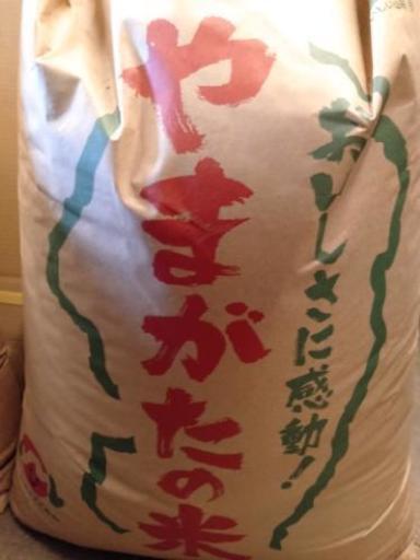 尾花沢産新米ひとめぼれ玄米30kg＋食品類