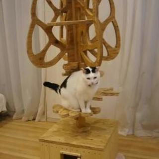 キャット タワー (ツリー ) ハンドメイド（限定値下）