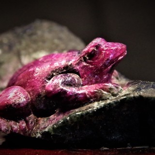 ルビーインゾイサイト 蛙 カエル 鉱物標本 情熱・積極性・直観力・洞察力