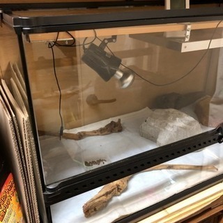 3月23日まで出品です グラステラリウム 9045