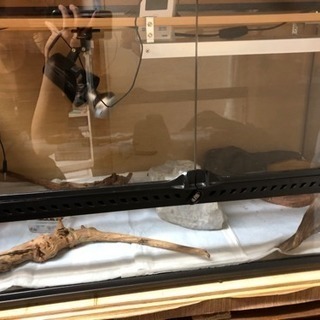 3月23日まで出品です グラステラリウム 9045