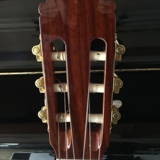 ありがとうございます♪【売れました！】アリアガットギター A-20 新品