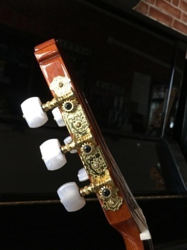 ありがとうございます♪【売れました！】アリアガットギター A-20 新品