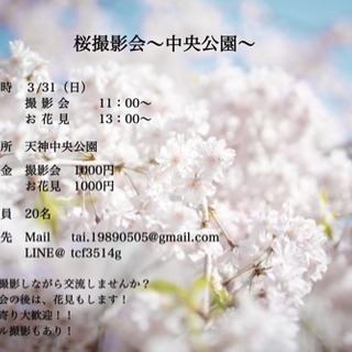 3/31 桜撮影会🌸@天神中央公園