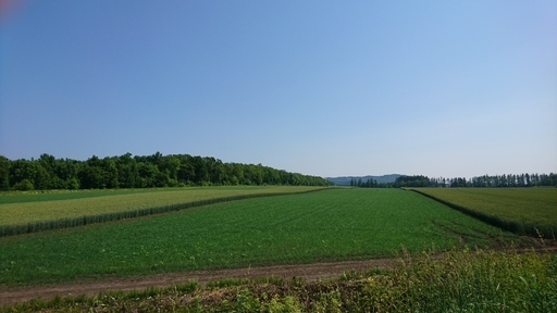 北海道で農業体験 株式会社エイブリッジ 中川の農業の無料求人広告 アルバイト バイト募集情報 ジモティー 北海道で農業体験 株式会社エイブリッジ 中川の農業の無料求人広告 アルバイト バイト募集情報 ジモティー