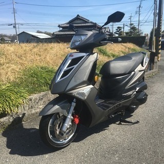 125‼️最速‼️最強馬力‼️PGOティグラ‼️極上美車 | www.erikamoveis