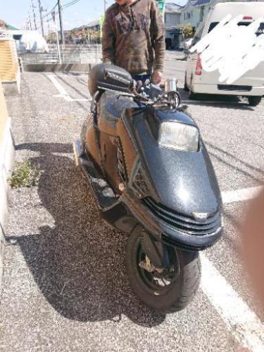 フリーウェイ250実働！！