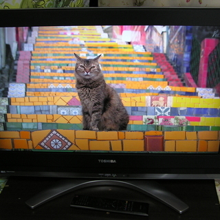 送料込み＊TOSHIBA 32型TV 2023年製＊0927-1 TOSHIBA REGZA 2023