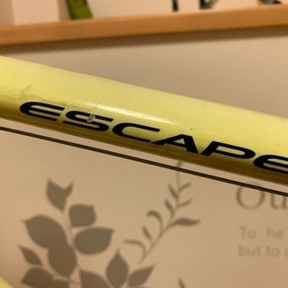 GIANT ESCAPE R3 （ジャイアント エスケープ R3）