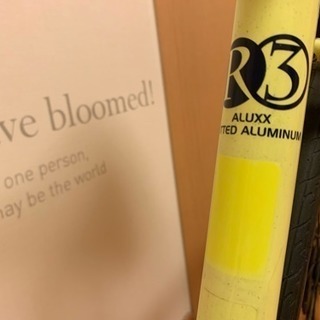 GIANT ESCAPE R3 （ジャイアント エスケープ R3）