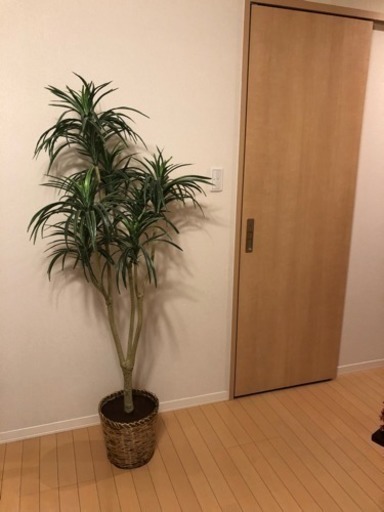 人工観葉植物 光触媒 ユッカ 160cm